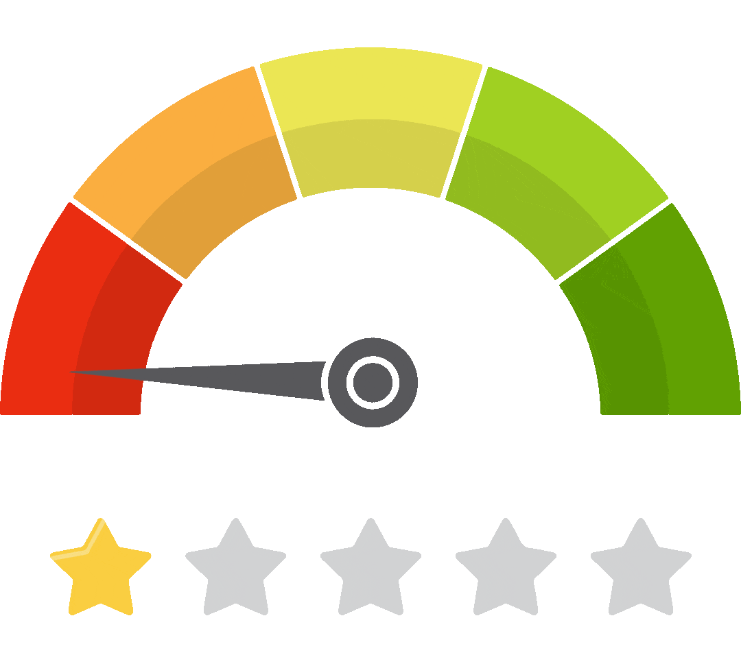 SPEED (1) audit seo local